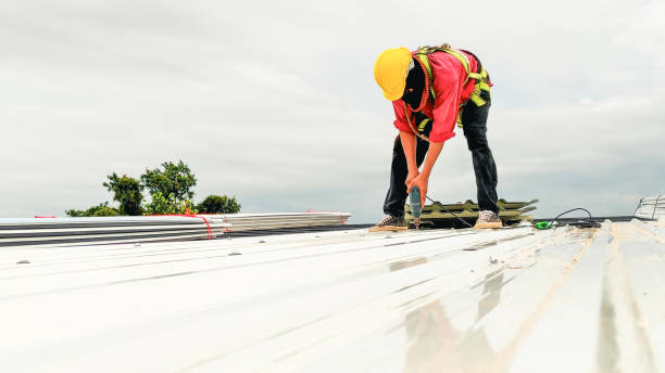 Best Asphalt Shingles Roofing  in Havre, MT
