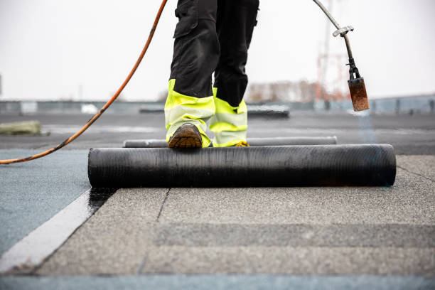 Best Roof Coating and Sealing  in Havre, MT