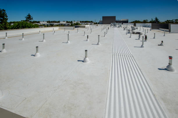 Best Metal Roofing Installation  in Havre, MT